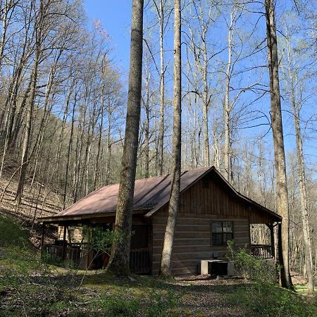 פיג'ן פורג' Little Mountain Hideaway Cabin מראה חיצוני תמונה